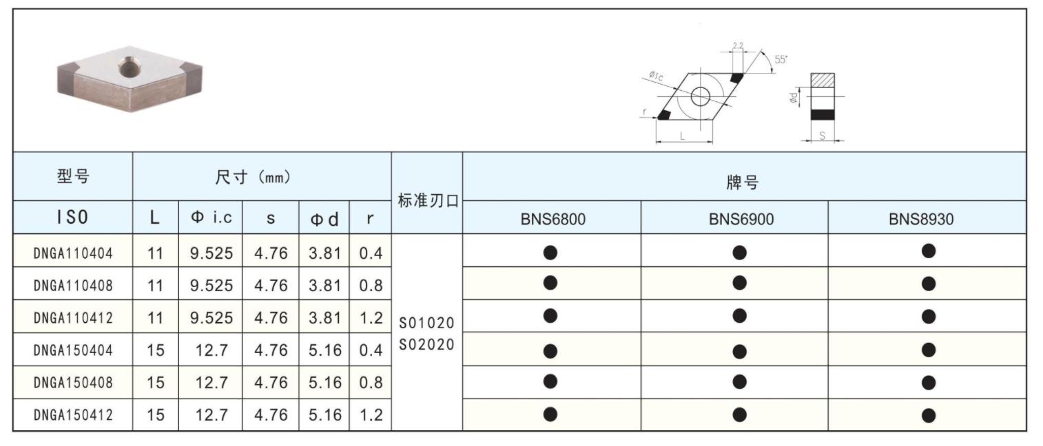 BNS-DNGA